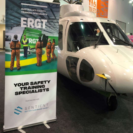 Immersive VR Safety Experience for APPEA Conference - Conference